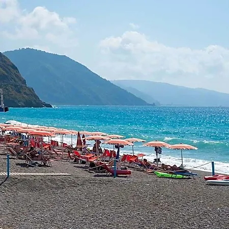 Gh Avalon Sikani